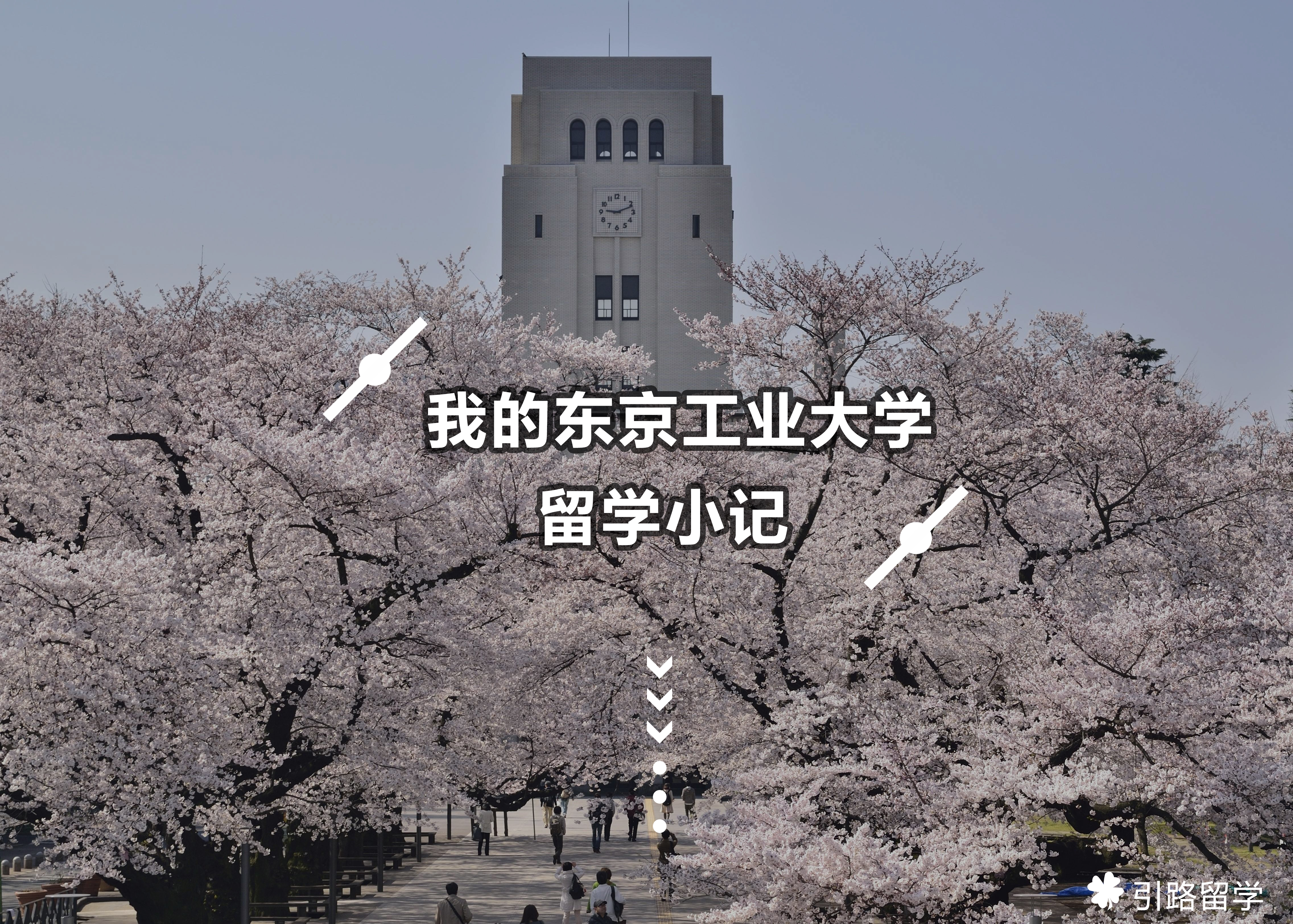 ​东京工业大学留学生活小记