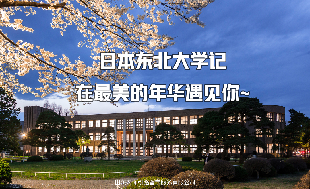 【东北大学】经济学修士留学经历（经济学专业）