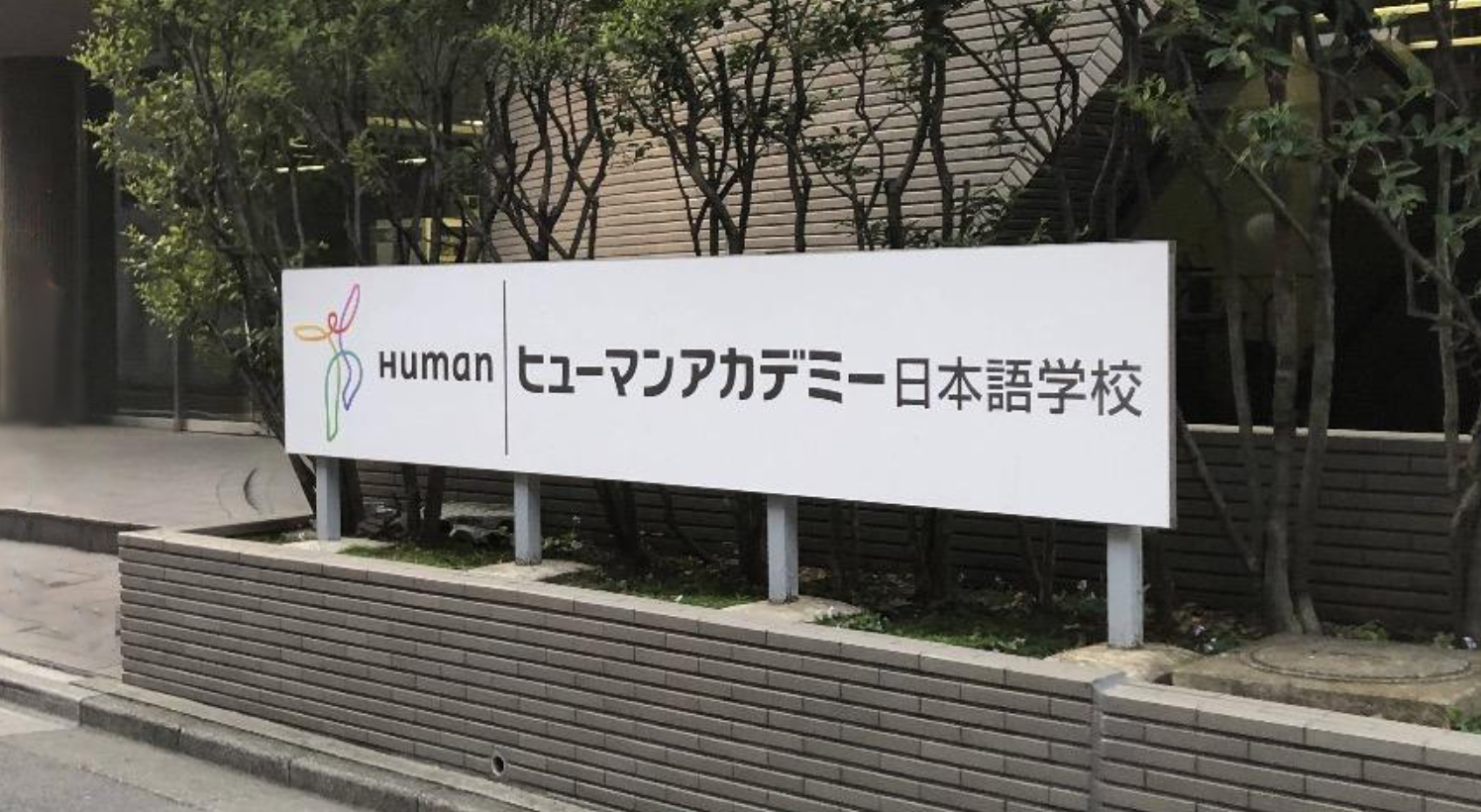 2020年8月，引路留学学员都报名了哪些优良语言学校？
