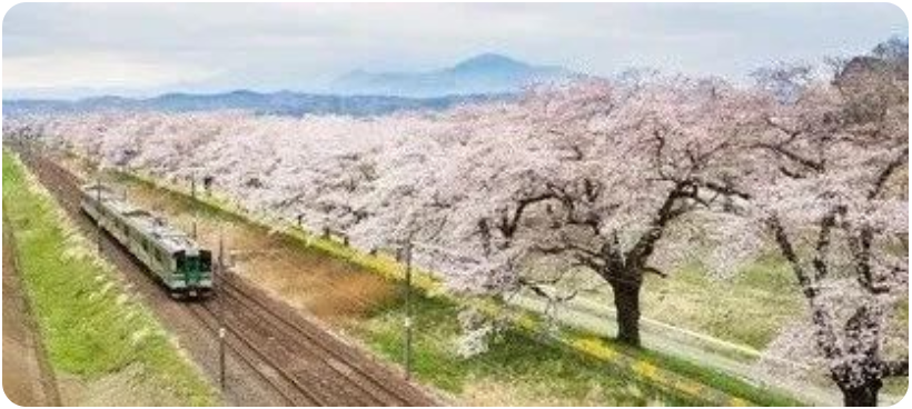 ​引路留学学员8月份都报名了哪些日本语言学校？