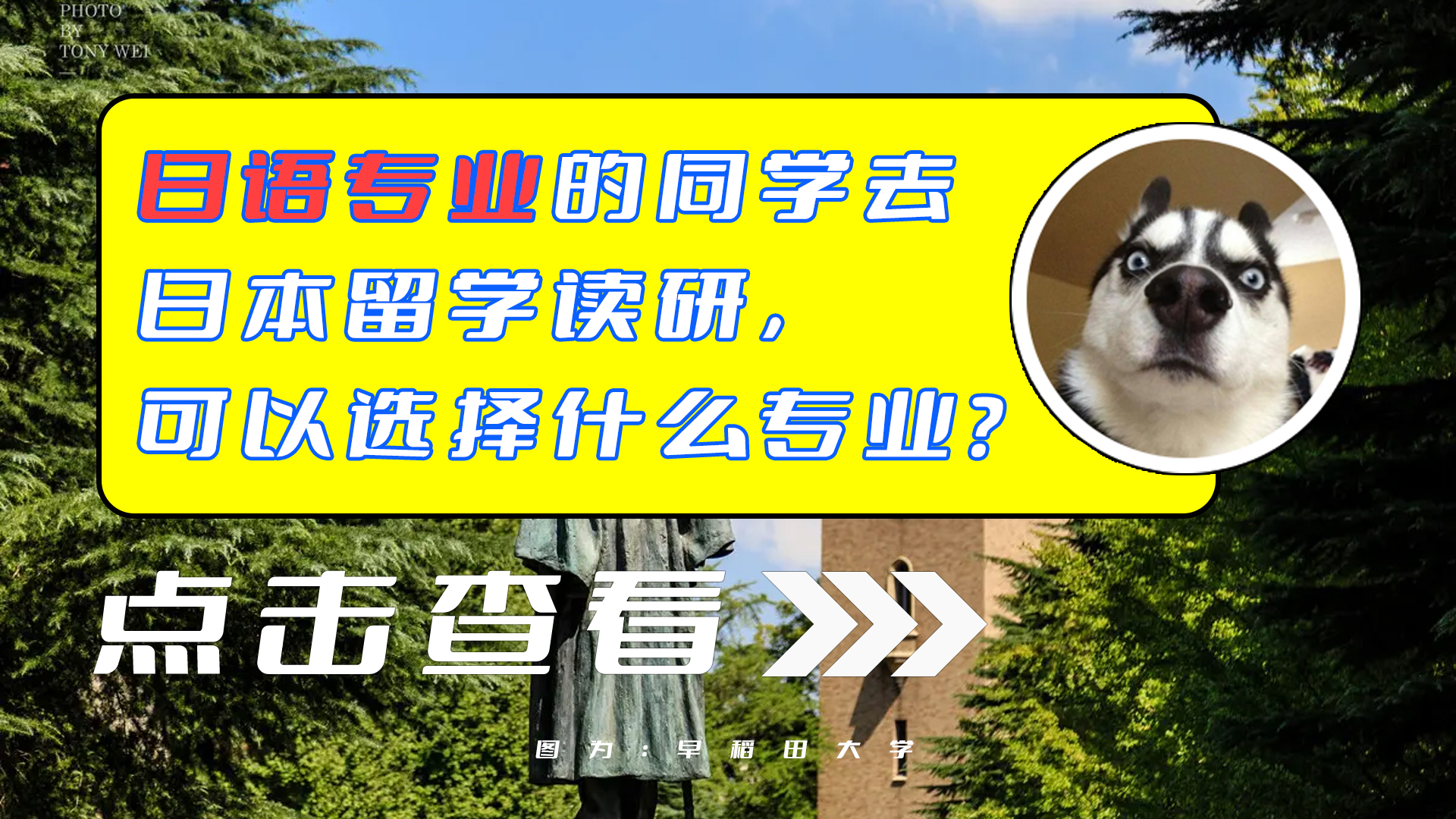 【日本留学】日语专业赴日留学，可选什么专业？