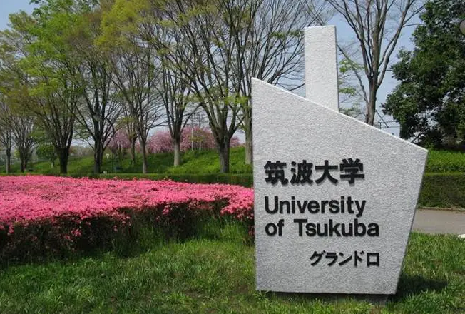 【成功案例】筑波大学：国际关系学~恭喜G同学
