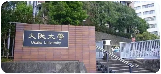 【大阪大学丨法学专业】从研究生到考入修士的留学经历