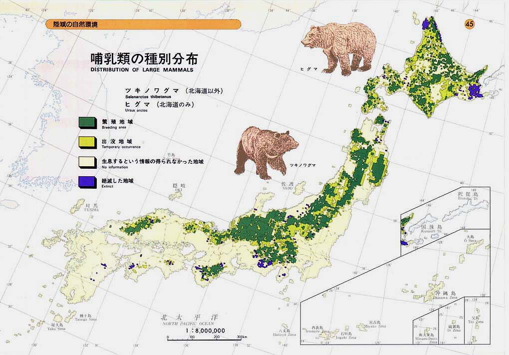【去北海道留学】别去深山，注意熊出没！